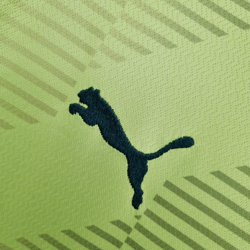 Camisa SE Palmeiras 2022/23 Goleiro Verde
