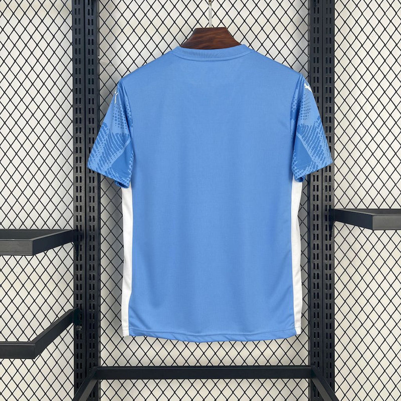 Camisa SE Palmeiras 2025/26 - Goleiro