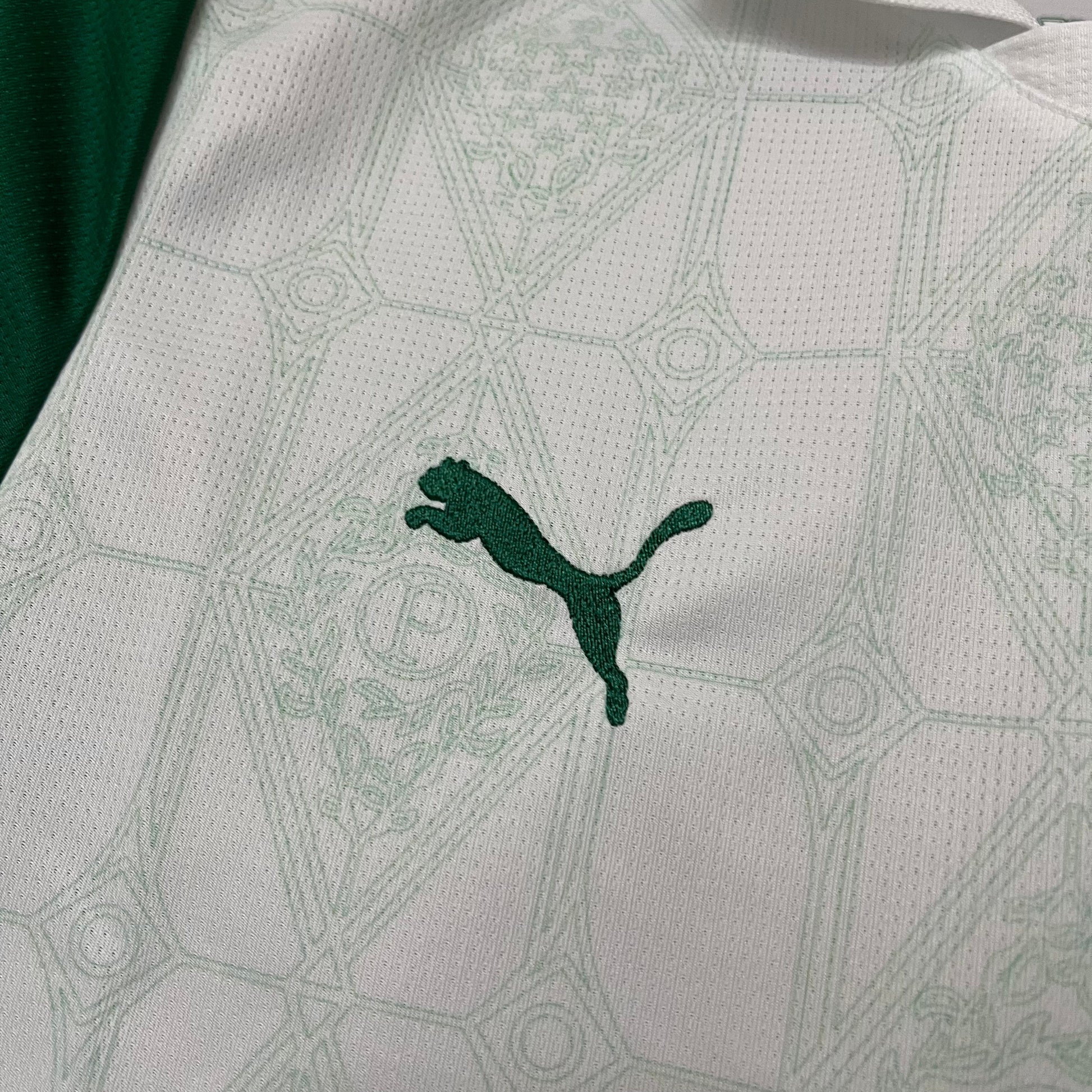 Camisa Feminina SE Palmeiras 2025/26 Away
