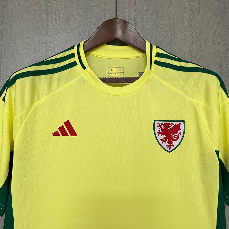 Camisa Seleção País de Gales 2024/25 Away