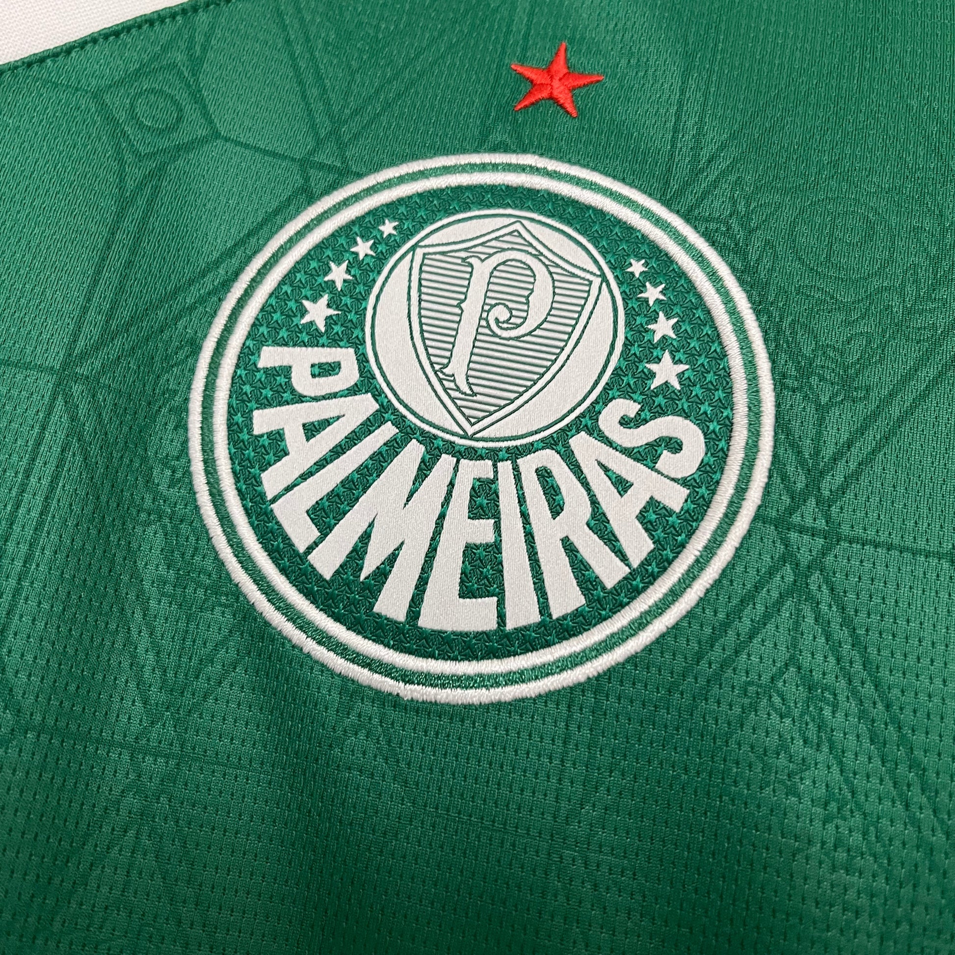 Camisa SE Palmeiras 2025/26 Home
