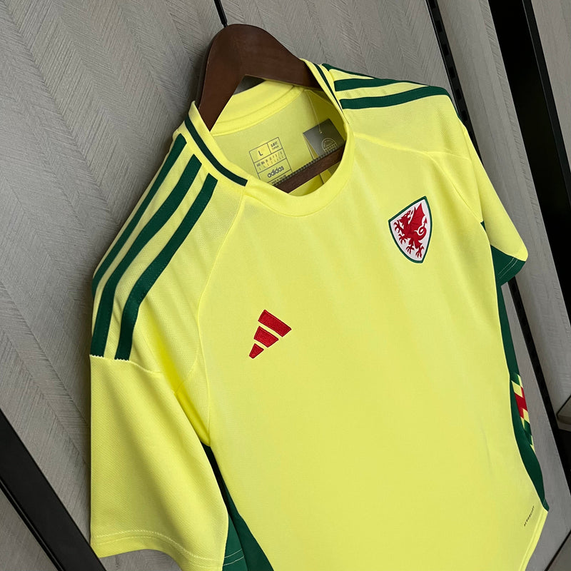 Camisa Seleção País de Gales 2024/25 Away