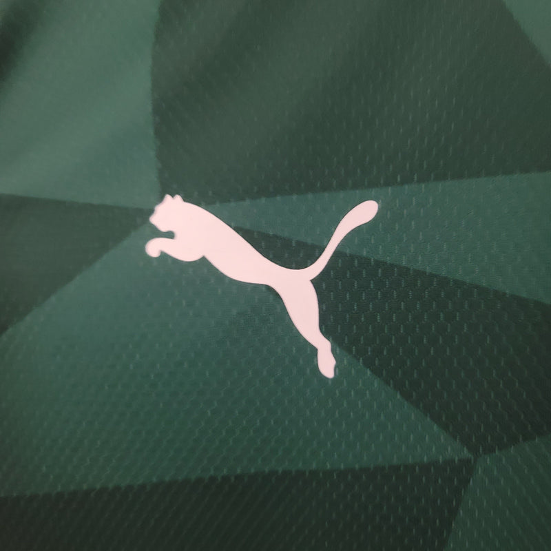 Camisa SE Palmeiras 2023/24 Home
